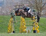 Philippaerts N Rochet TosTour2013- S5 2720 : Arezzo, Arezzo Equestrian Centre, Philippaerts Nicola, Rochet de la Vaulx, Toscana Tour 2013, foto di Stefano Secchi ©